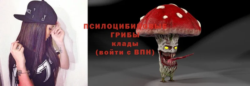 цены   Гдов  Псилоцибиновые грибы MAGIC MUSHROOMS 